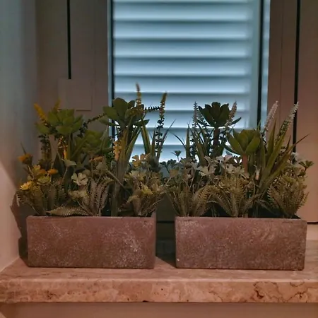 Queen Al Palazzetto *