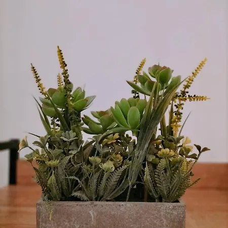 Queen Al Palazzetto Appartement *